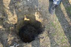 653711310_2137039090399968_5331409567596740872_n