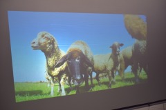 650854231_2133113764125834_9155351282536324281_n