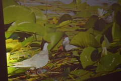 650912909_2133114097459134_5113102338612334980_n