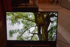 650921711_2133113694125841_4772749040222480987_n