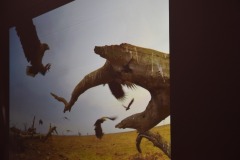 651202024_2133114337459110_4529033162654045297_n