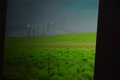 651287051_2133113814125829_5051605077706150964_n