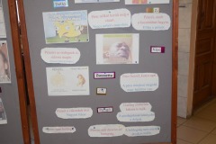 646720774_2129092824527928_518833131961612440_n